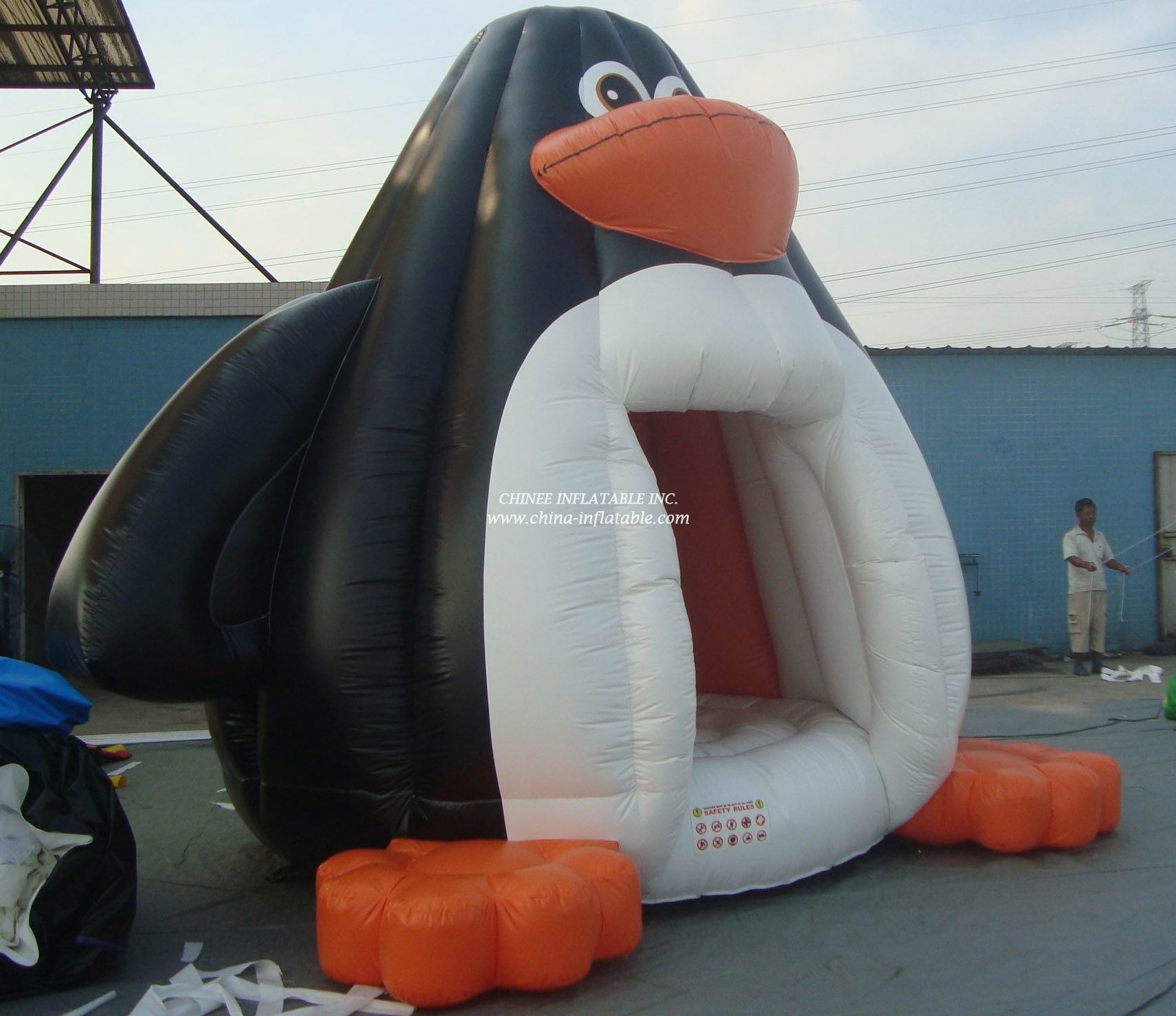 T2-450 Dolphin Inflatable Bouncer